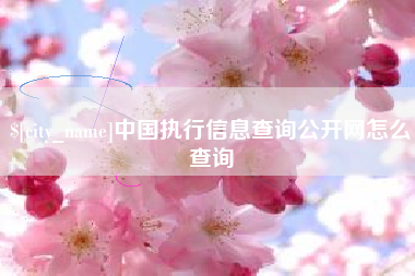 澧县中国执行信息查询公开网怎么查询