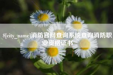 澧县消防官网查询系统查询消防职业资格证书