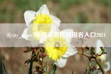 澧县中国消防官网报名入口2024