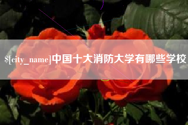 澧县中国十大消防大学有哪些学校
