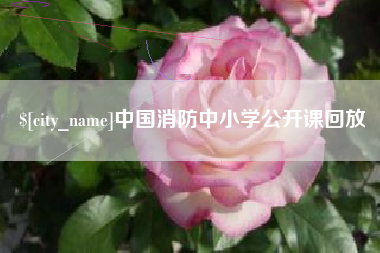 澧县中国消防中小学公开课回放
