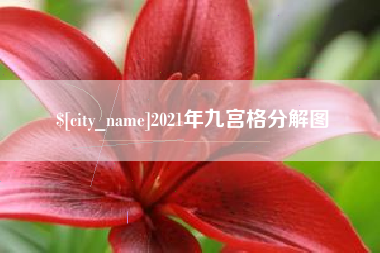 澧县2021年九宫格分解图