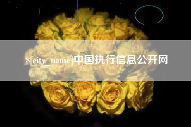 澧县中国执行信息公开网