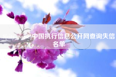 澧县中国执行信息公开网查询失信名单