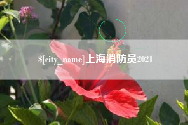 澧县上海消防员2021