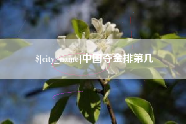 澧县中国夺金排第几