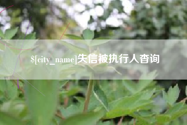澧县失信被执行人杳询