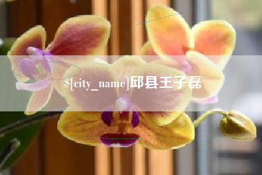 澧县邱县王子磊
