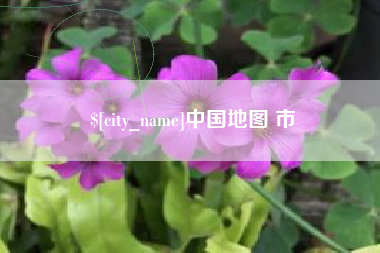 澧县中国地图 市