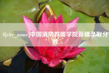 澧县中国消防救援学院新疆录取分数