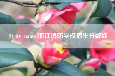 澧县浙江消防学校招生分数线