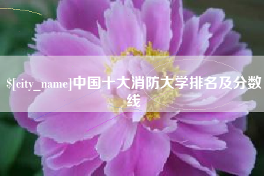澧县中国十大消防大学排名及分数线