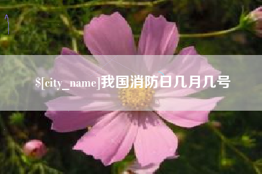 澧县我国消防日几月几号
