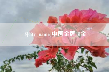 澧县中国金牌18金