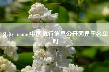 澧县中国执行信息公开网是黑名单吗