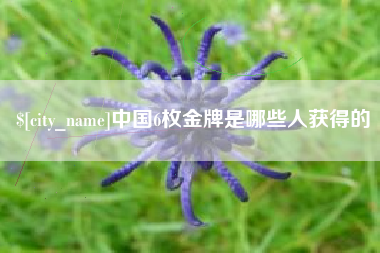 澧县中国6枚金牌是哪些人获得的