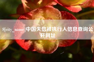 澧县中国失信被执行人信息查询公开网址