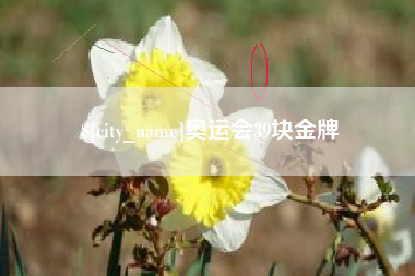 澧县奥运会39块金牌