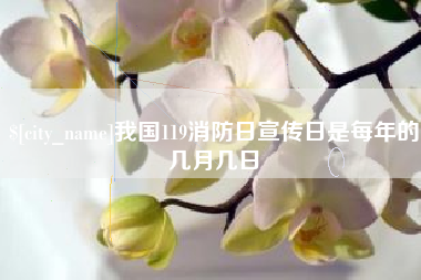 澧县我国119消防日宣传日是每年的几月几日
