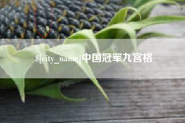 澧县中国冠军九宫格