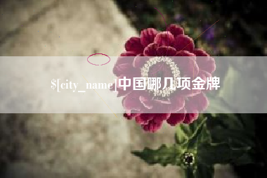 澧县中国哪几项金牌