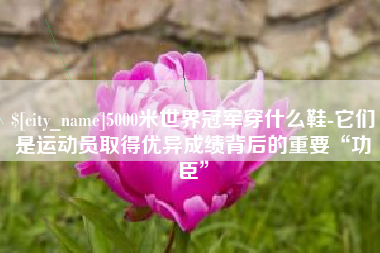 澧县5000米世界冠军穿什么鞋-它们是运动员取得优异成绩背后的重要“功臣”