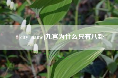 澧县九宫为什么只有八卦
