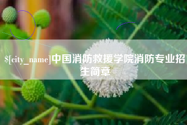 澧县中国消防救援学院消防专业招生简章
