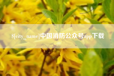 澧县中国消防公众号app下载