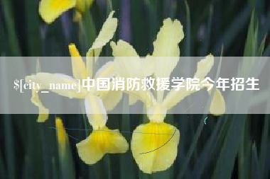 澧县中国消防救援学院今年招生