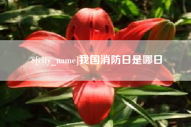 澧县我国消防日是哪日