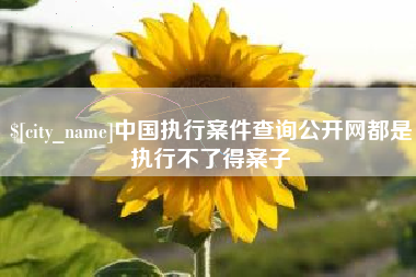 澧县中国执行案件查询公开网都是执行不了得案子