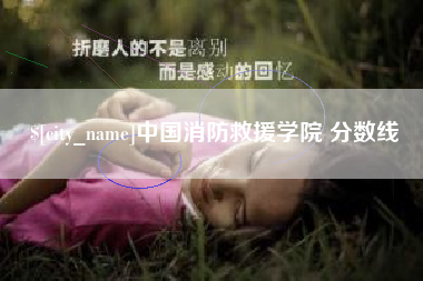 澧县中国消防救援学院 分数线