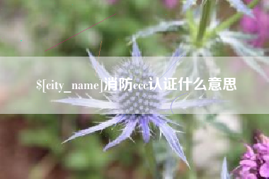 澧县消防ccc认证什么意思