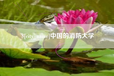 澧县中国的消防大学