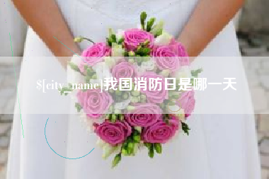 澧县我国消防日是哪一天