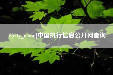 澧县中国执行信息公开网查询