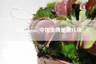 澧县中国金牌是哪几项