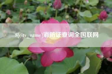 澧县消防证查询全国联网
