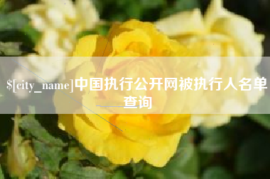 澧县中国执行公开网被执行人名单查询