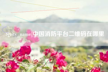澧县中国消防平台二维码在哪里