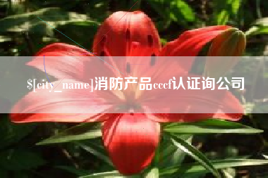 澧县消防产品cccf认证询公司