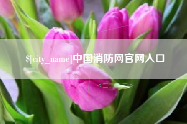 澧县中国消防网官网入口