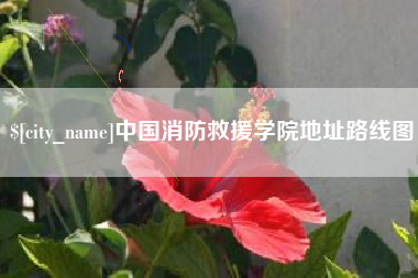 澧县中国消防救援学院地址路线图