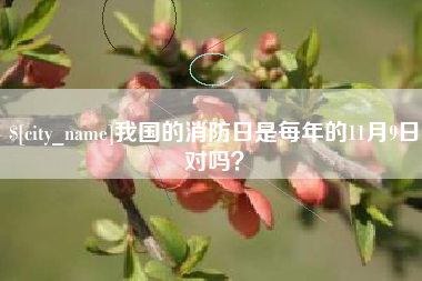 澧县我国的消防日是每年的11月9日对吗？