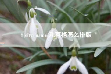 澧县九宫格怎么排版