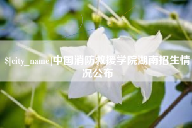 澧县中国消防救援学院湖南招生情况公布