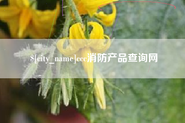 澧县ccc消防产品查询网