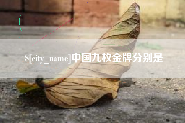 澧县中国九枚金牌分别是