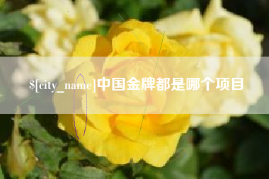 澧县中国金牌都是哪个项目